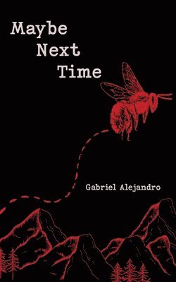 Gabriel Alejandro - Maybe Next Time, Häftad