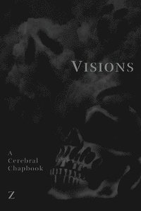 bokomslag Visions