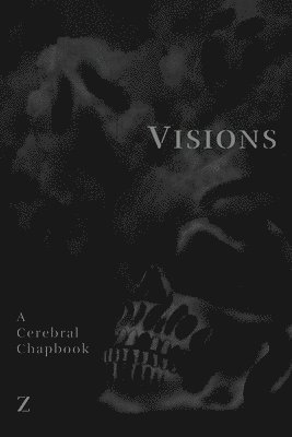 bokomslag Visions