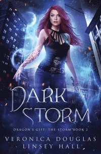 bokomslag Dark Storm