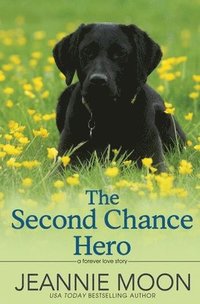 bokomslag The Second Chance Hero