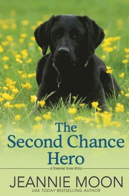 The Second Chance Hero 1