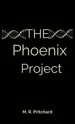 bokomslag The Phoenix Project