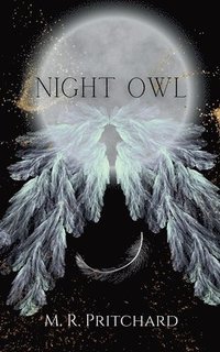 bokomslag Night Owl