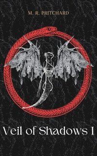 bokomslag Veil of Shadows I