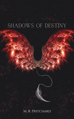 Shadows of Destiny 1