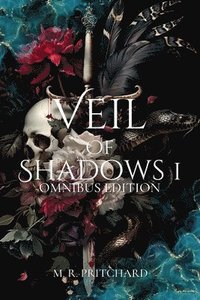 bokomslag Veil of Shadows I