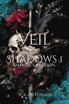 bokomslag Veil of Shadows I