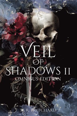 bokomslag Veil of Shadows II