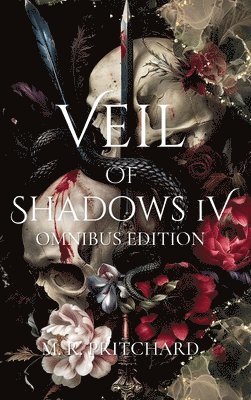 bokomslag Veil of Shadows IV