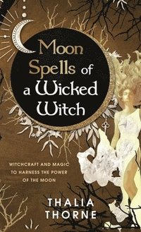 bokomslag Moon Spells of a Wicked Witch