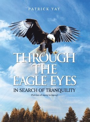 Patrick Yay - Through the Eagle Eyes, Inbunden