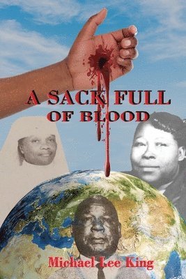 bokomslag Sack Full of Blood