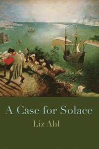bokomslag A Case for Solace