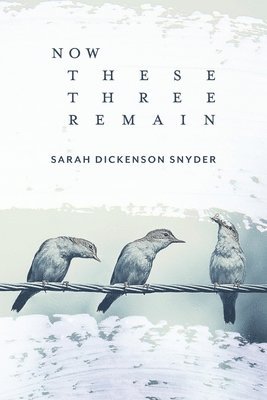 Sarah Dickenson Snyder, Eileen Cleary - Now These Three Remain, Häftad