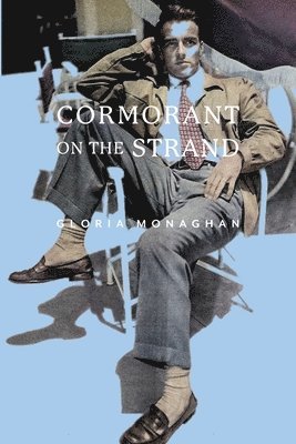 Gloria Monaghan, Eileen Cleary - Cormorant on the Strand, Häftad