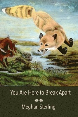 bokomslag You Are Here to Break Apart