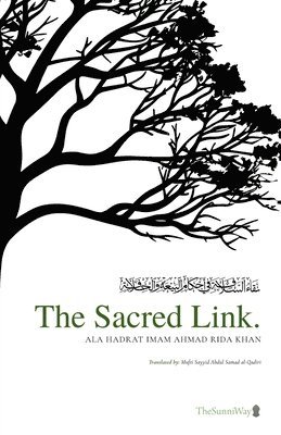 bokomslag Sacred Link