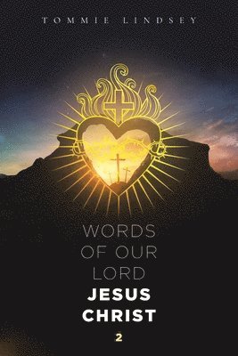 bokomslag Words of Our Lord Jesus Christ