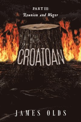 bokomslag Croatoan