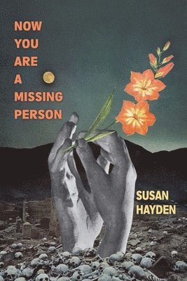 Susan Hayden - Now You Are a Missing Person, Häftad