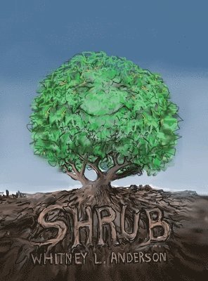 Shrub 1