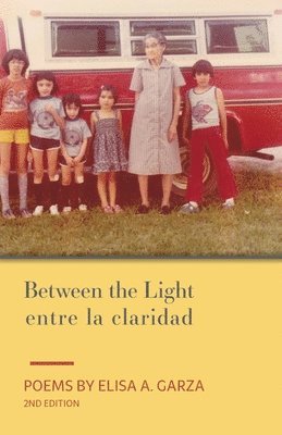 bokomslag Between the Light / entre la claridad