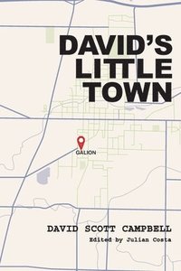 bokomslag David's Little Town