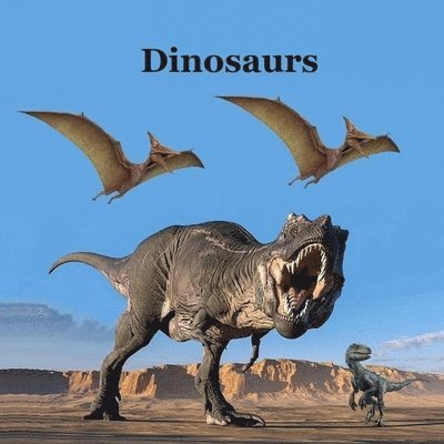 Dinosaurs Kids Book 1