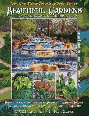 Teresa Davis - New Creations Coloring Book Series, Häftad