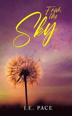 J E Pace, J. E. Pace - From the Sky, Häftad