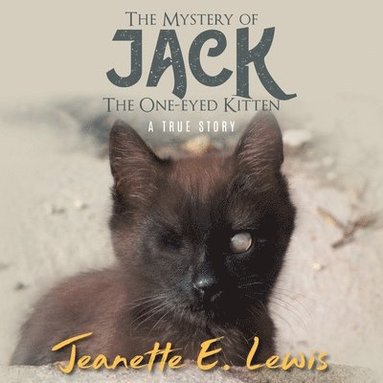 bokomslag Mystery of Jack, the One-Eyed Kitten