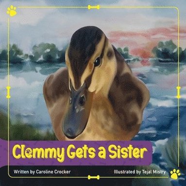 bokomslag Clemmy Gets a Sister