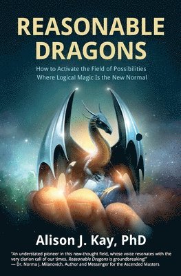 bokomslag Reasonable Dragons