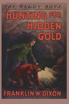 bokomslag Hardy Boys