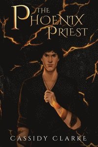 bokomslag The Phoenix Priest