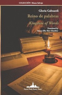 bokomslag Reino de palabras