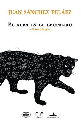 El alba es el leopardo 1