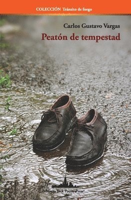 bokomslag Peatón de tempestad