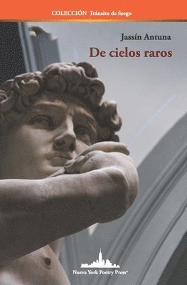 De cielos raros 1