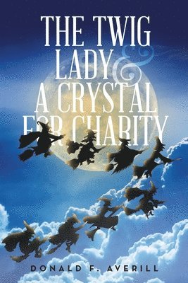 Donald F Averill - Twig Lady & A Crystal for Charity, Häftad