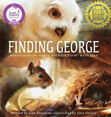 bokomslag Finding George