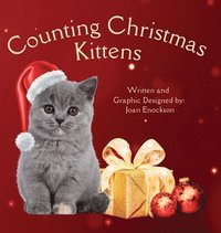 bokomslag Counting Christmas Kittens