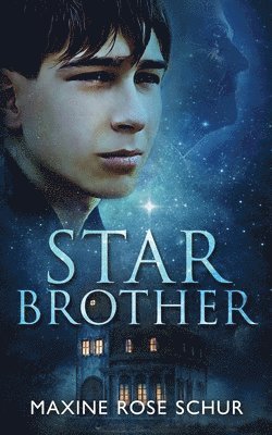 bokomslag Star Brother