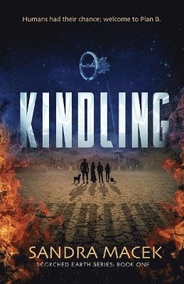 Kindling 1