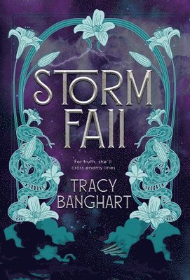 bokomslag Storm Fall