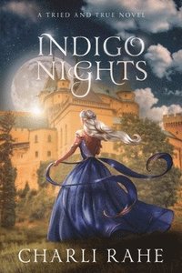 bokomslag Indigo Nights
