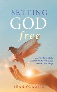 bokomslag Setting God Free