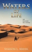 bokomslag Waters of Life