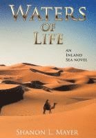 bokomslag Waters of Life